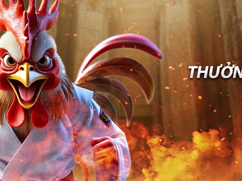 Hai võ sĩ quyền anh trên sàn đấu